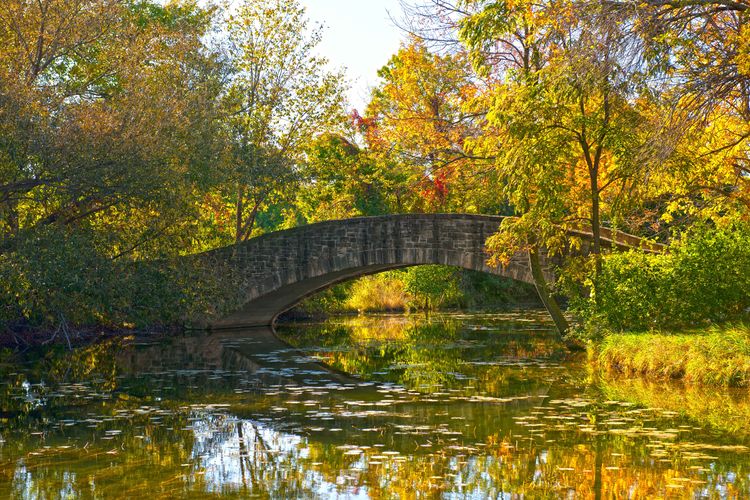 Madison, WI Homes for Sale | Madison Realtors