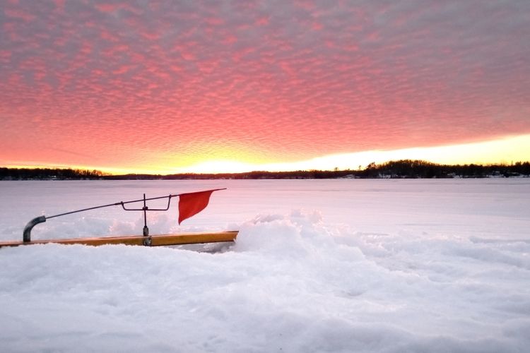 Poynette, WI Homes for Sale and Realtors